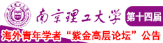 日屄视频网站南京理工大学第十四届海外青年学者紫金论坛诚邀海内外英才！